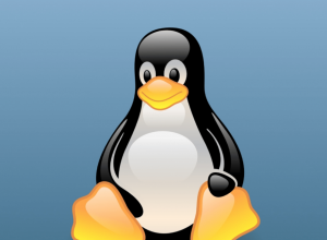 Linux İşletim Sistemi Nedir?